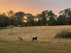Grain Bin tiny home!  - Image 4