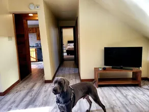 Private and spacious Carriage House pet friendly - Image 2