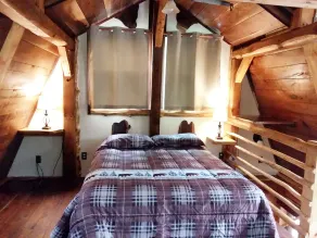 Lion's Den Cabin på The King's Pines - Image 5