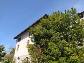 House with garden within the historic village of S. Polo - Image 5