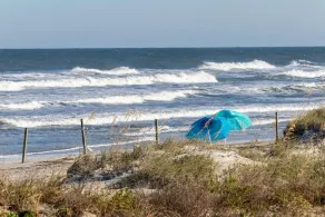 Campfire Turtle Mound - Image 4