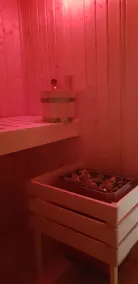 Sunshine - the power of nature and the sauna - Image 3