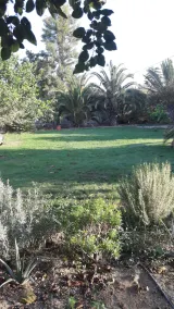 Rustik lugn<br>Lantlig flykt i andalusisk inre inte långt från Sevilla - Image 5