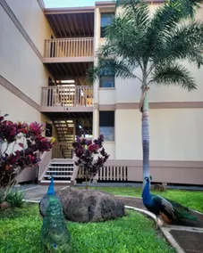 Experience Authentic Hawaii on Oahu's West Side! 5 Minutes to the Beach! - Image 4