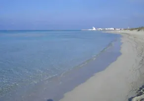 TERRANOSTRA GARDEN: WITH PRIVATE POOL IN SALENTO - Image 3
