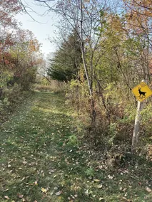  Bluff Country Retreat - Bunk House - near Lanesboro & the Root River Bike Trail - Image 4