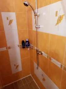 Central and quiet apartment in a garden district close to the Prague Castle - Image 3
