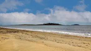 Ocean front cottage with 125 feet of private beach frontage - Image 5