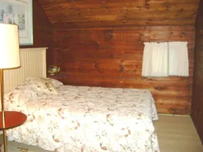 Ossipee Lake house, pet friendly - Image 3