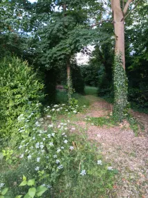 La petite maison - Image 4