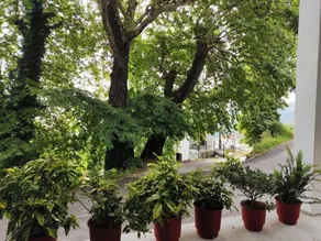 Isidora Apartments - Image 2