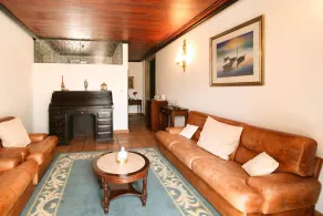 King Size Suite - Trees - Image 4