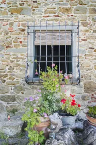 \"Il camino\" scopre le peculiarità toscane perdersi nei paesaggi - Image 5