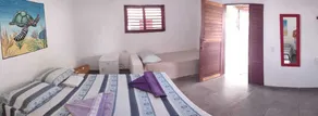 Tropicana Kite Village  - Image 3