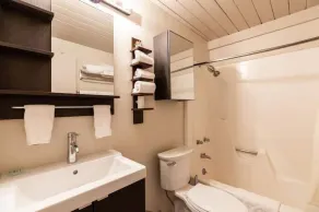 Wirtschaftlich Vail 1 Schlafzimmer (weniger als Hotel) - Image 2