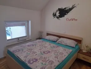 Cozy loft apartment in the heart of Kamnik-Savinja alps - Image 2