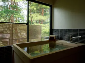 Matsusaki - Image 2