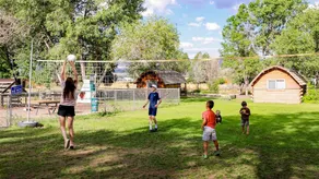 Dixie Forest RV Resort - Image 2