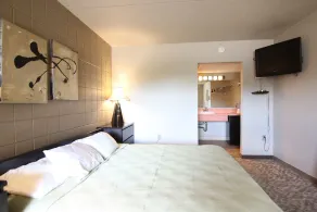 Lindell - Downtown CF Studio - King Bed! 510 - Image 4