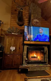 3 bed Log Cabin, w/2 Jacuzzi, 1 mi to SDC,  pool, nature trails, private lake - Image 3