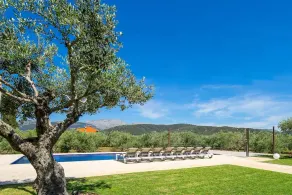 Modern finca, secluded location, 10min to the dream beach Playa del Muro, large pool - Image 4