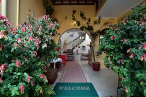 Villa Eleni Apartments - Image 2