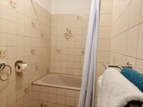 Apartment 6 Lion - Image 3
