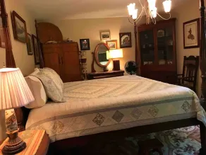 Pet Friendly Great Reviews w / Vista près de Lake Lure Tryon Equestrian Chimney Rock - Image 4