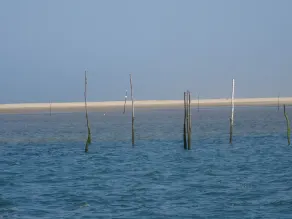 Grün, Bassin d'Arcachon, nahe Strand, Hafen, Geschäfte, 6 Pers. - Image 2
