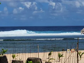 Coleto Siargao - Image 5