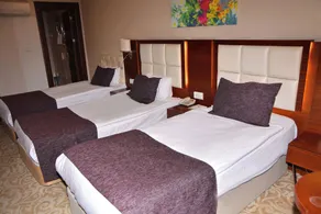 Asrin Business Hotel Kızılay - Image 2