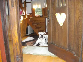 historic half-timbered house on the edge of a forest in a secluded location - Image 2