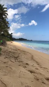 Paradise Beachfront Condo beliggende ved Pats i Punaluu. - Image 2