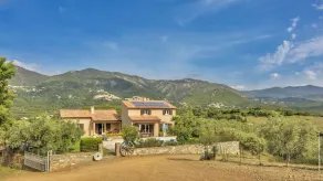 2 villas with swimming pool in an olive grove in Corsica - near Saint-Florent - Image 4