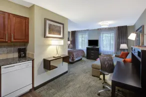 Great Location! Comfortable Studio Suite | Pool Access - Image 4