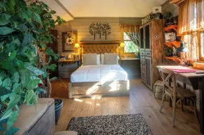 ★ Quinta Pavo Real - The Magic Tree House - Image 2