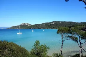 Le Levant à Hyères - Hyeres - Image 3