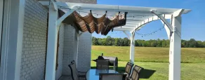 Farmhouse with ultimate privacy and quiet! - Image 3