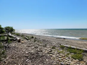 Beachfront Cottage w/Amazing Views! Steps 2 Beach. Fishing.WiFi.Wineries.Dining - Image 4