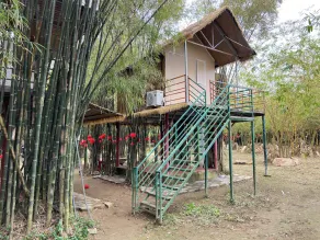 Bobo Glamping - Image 5