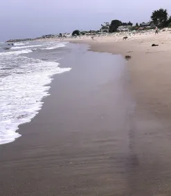 Schöne Eigentumswohnung Schritte zum Strand! Meerblick!!!! Erdgeschoss - Image 2