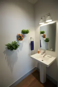 Magnolia Knoll at Capital View - Image 4