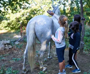 C. R.Carvajal \"- Birding & Horse Trekking Center - Image 5