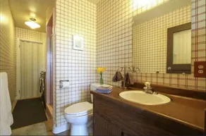 Mid-Century-Modern Garden Level Apartment - Image 4