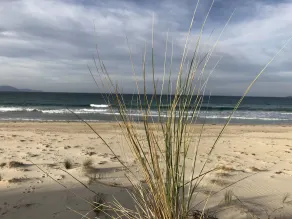 Carlton Beach House Holiday - Image 5
