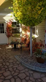 Vackert 1 sovrum Guest House (djurfritt) - Image 5