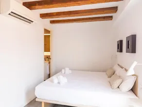 Penthouse med privat terrasse, godt forbundet, med gratis wifi, ideel til par - Image 3