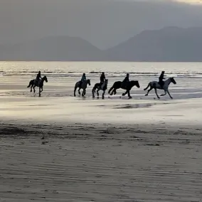 Cabaña cómoda modernizada cerca de las playas de bandera azul en el camino de Dingle - Image 5