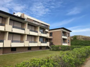 Dünenperle - Image 3
