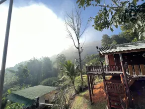 Forest Guesthouse - Image 5